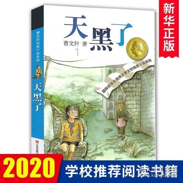 小汽车的太空梦