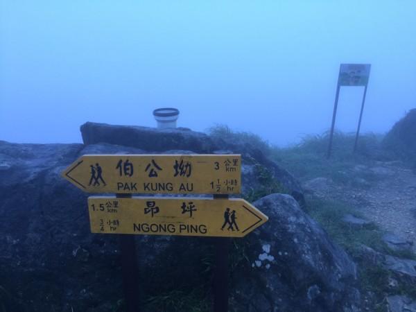 虫虫助手下载