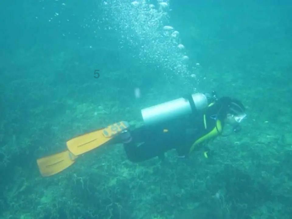 盗贼之海