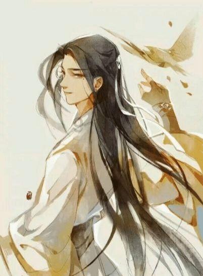 寻找火鸡