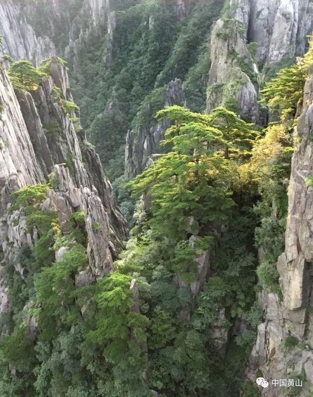 深海鱼救援