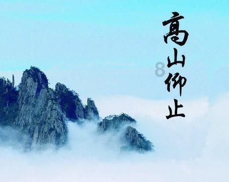 宠物食品海运菲律宾双清到门专线